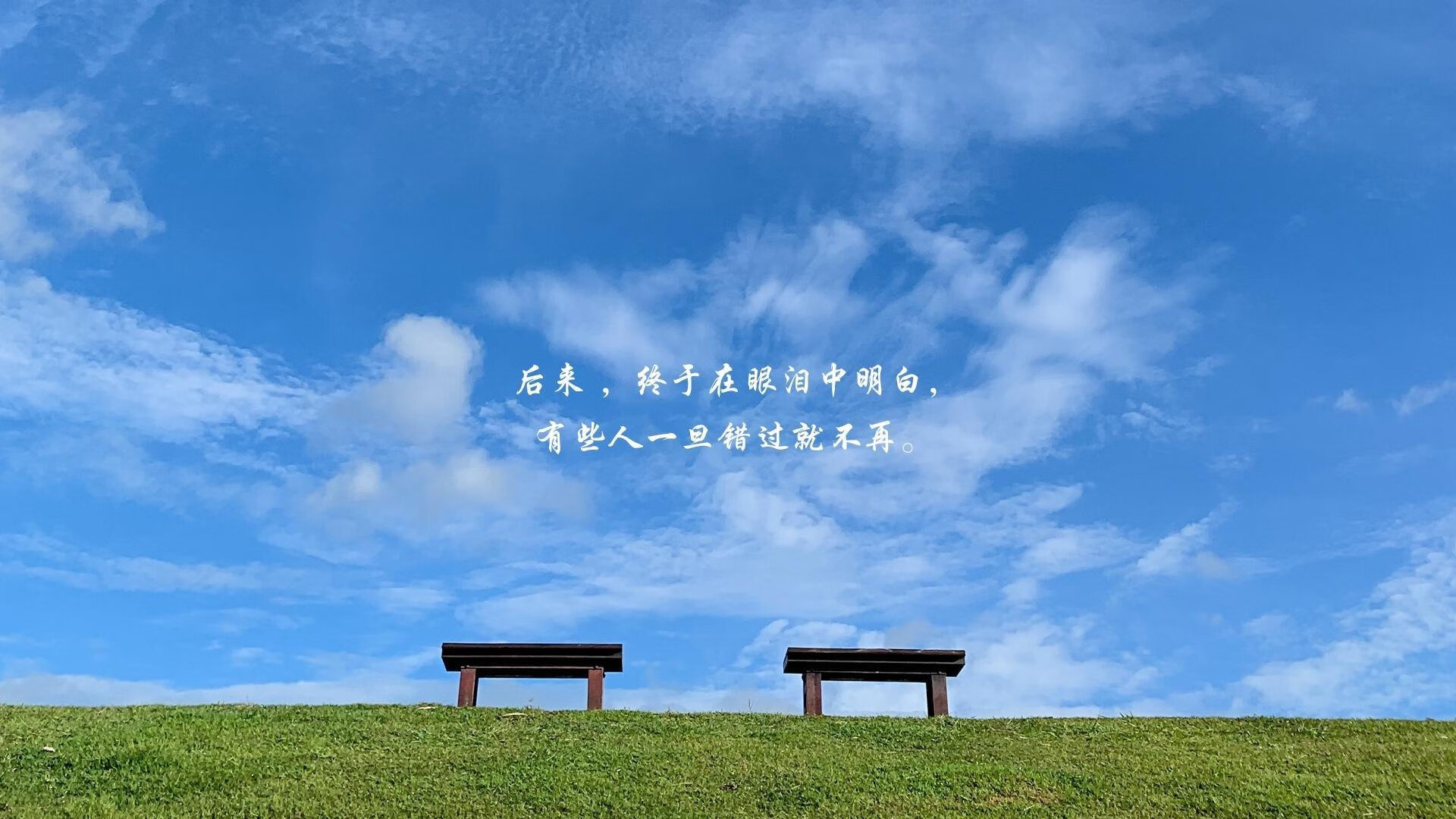 体育场馆服务质量提升,体育场馆服务质量提升方案