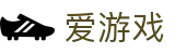 爱游戏(AYX)中国官方网站_AYX GAME